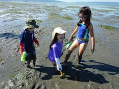 P1050533.jpg P1050533