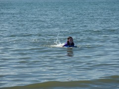 P1050542.jpg P1050542