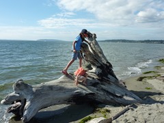 P1050548.jpg P1050548