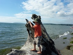 P1050550.jpg P1050550