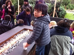 IMG_1180.jpg IMG_1180