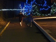 P1050970.jpg P1050970