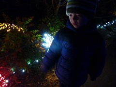 P1050977.jpg P1050977