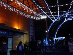 P1050986.jpg P1050986