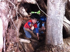 IMG_1062.jpg IMG_1062