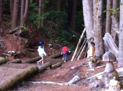 IMG_1068.jpg IMG_1068