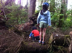 IMG_1072.jpg IMG_1072