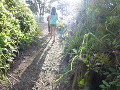 P1050551.jpg P1050551