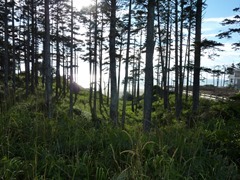 P1050552.jpg P1050552