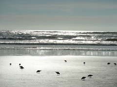 P1050568.jpg P1050568