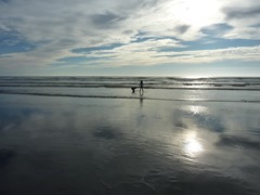 P1050582.jpg P1050582