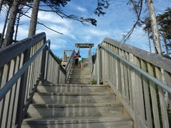 P1050593.jpg P1050593