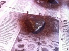 IMG_0806.jpg IMG_0806