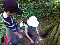 IMG_1370.jpg IMG_1370